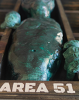 NEXT ICON // AREA 51