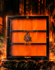 Clipper Showcase PRO - "ALL MONSTER ARE HUMAN" EDITION (Glass+Holes) - Clipper WareHouses