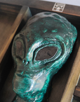 NEXT ICON // AREA 51